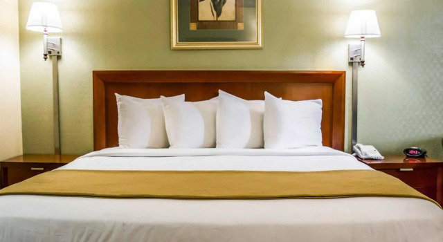 Номер Standard Quality Inn Tampa Airport - Cruise Port