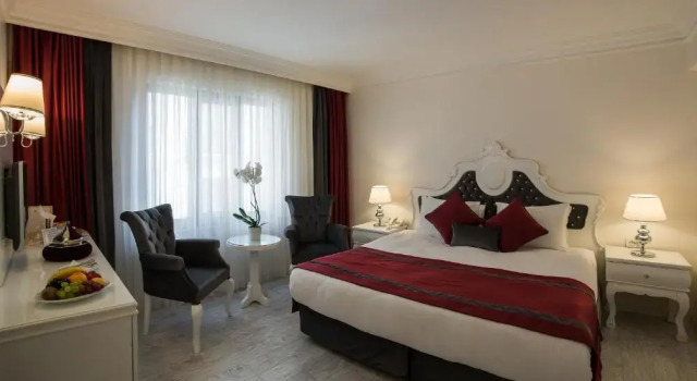 Двухместный номер Deluxe Hotel Yigitalp Istanbul