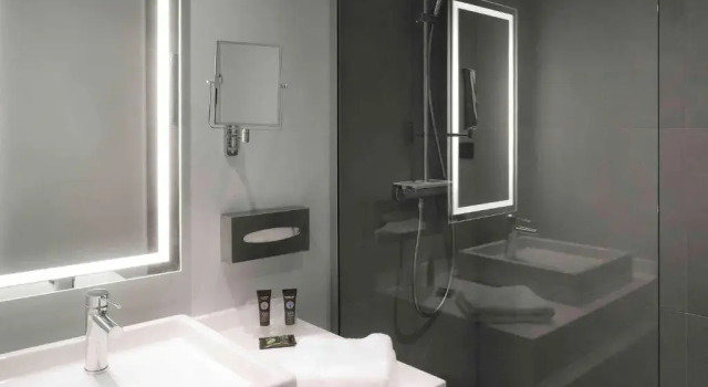 Номер Superior Novotel Caen Côte de Nacre