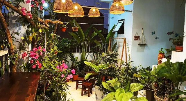 alley homestay