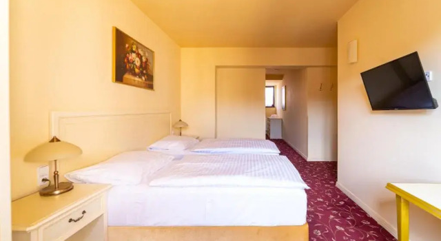 Номер Comfort Spa Hotel Vita
