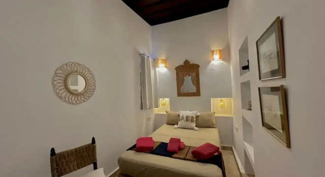Camera Standard Riad Ocallaghan