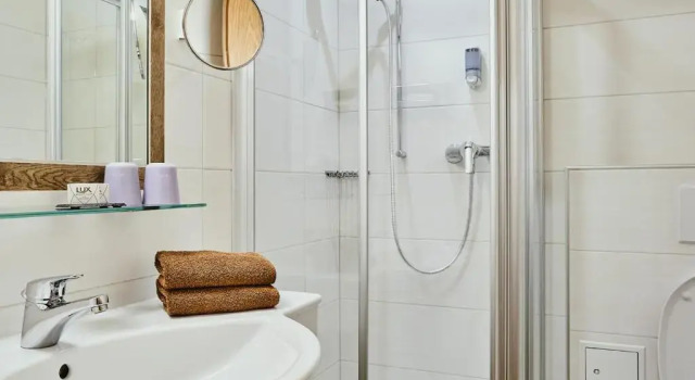 Двухместный номер Standard Hotel Rustika