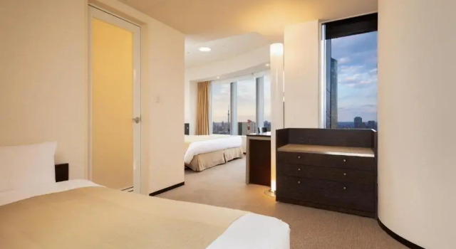 Двухместный номер Deluxe Park Hotel Tokyo