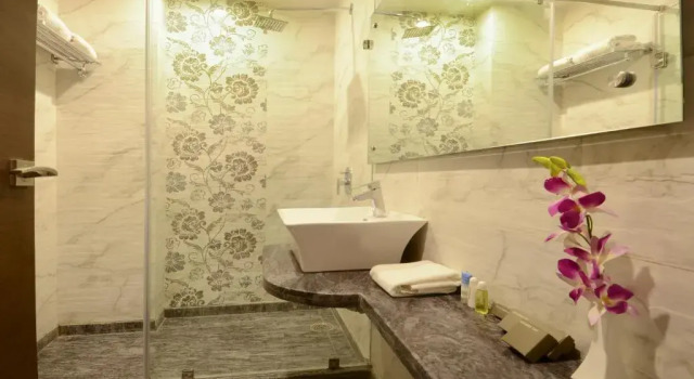 Номер Standard Hotel Alleviate