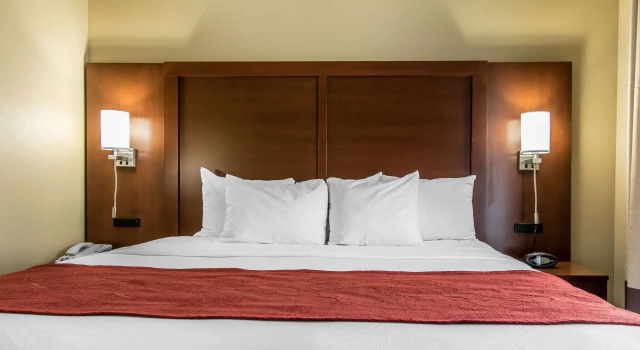 Двухместный люкс Comfort Suites Effingham Central