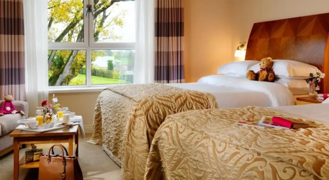 Двухместный номер Standard Killyhevlin Lakeside Hotel & Lodges