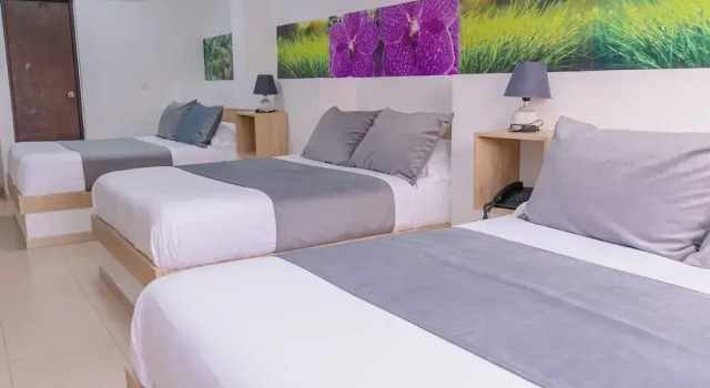 Номер Comfort Hotel Plataneras Plaza