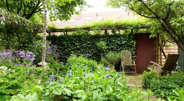 Апартаменты Family House Amsterdam