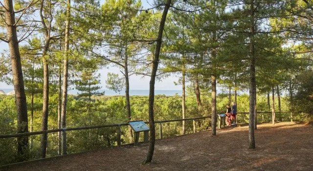 Studio Saint-Jean-de-Monts, 1 pièce, 4 personnes - FR-1-323-245