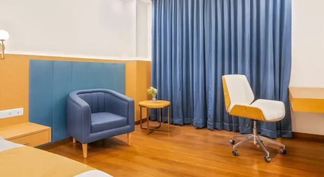 Двухместный номер Executive Hotel Turmeric