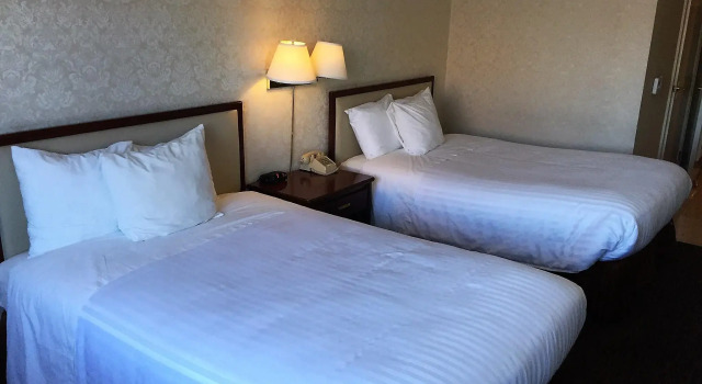 Четырёхместный номер Standard JJ Grand Hotel