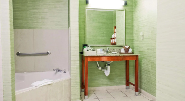 Четырёхместная студия Hampton Inn & Suites Harlingen