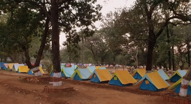 Satpura Adventure Resort & Camping