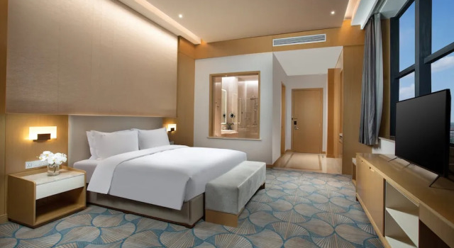 Двухместный номер Premium Holiday Inn Jiashan by IHG
