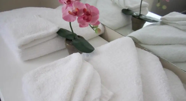 Люкс Standard c 1 комнатой Camellia Court Motel