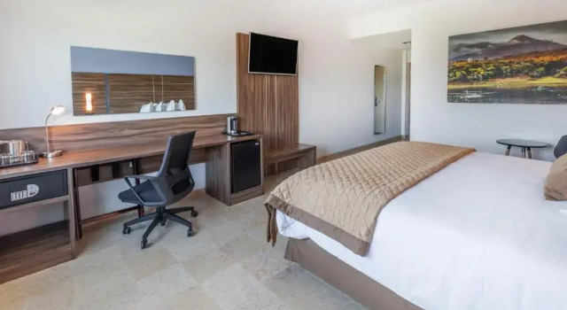 Двухместный номер Executive Gamma Colima Garden