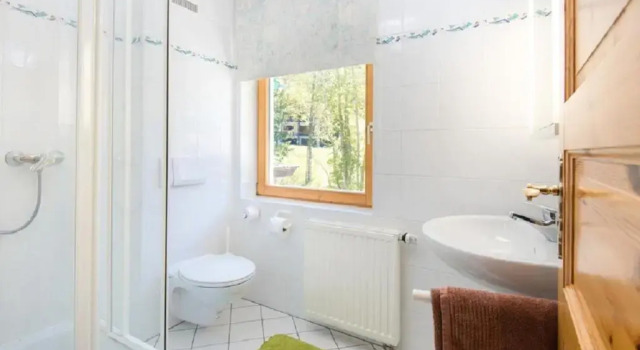 Апартаменты c 1 комнатой Ferienwohnungen Badbruckerweg- Bad Gastein