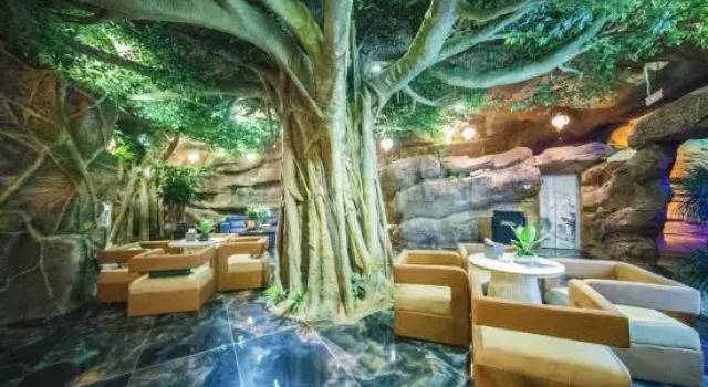 Ruili Shui Xiang Lidu Smart Hotel, Buchen Sie Hotel Dehong 