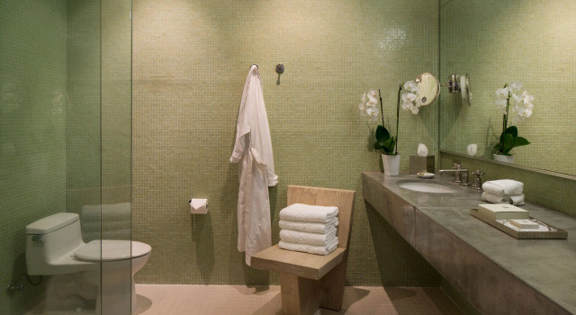 Двухместный номер Standard Hotel Healdsburg