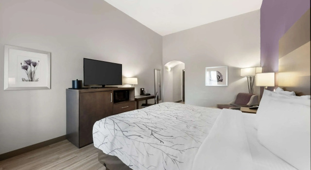 Двухместный номер Standard Best Western Plus Buda Austin Inn & Suites