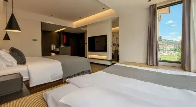Люкс Shanyu Homestay (Wuyi Mountain Sangu Resort)