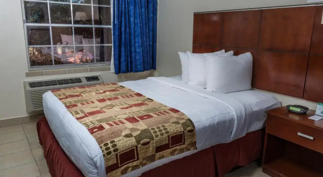 Двухместный номер Standard с видом на сад Flamingo Express Hotel