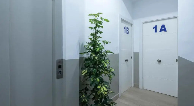 Апартаменты c 1 комнатой Aloja2 Apartamentos