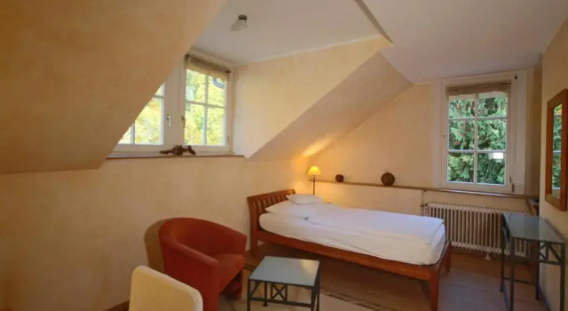 Одноместный номер Comfort Hardtwald Hotel