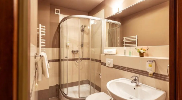 Трёхместный номер Standard Villa Elise Park Pension