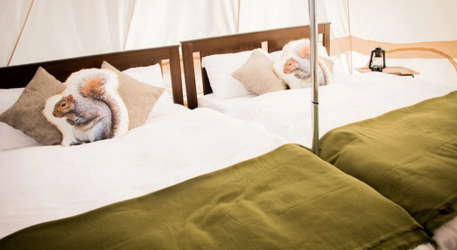 Yoichi Vineyard Glamping, Book Campingplads Hoteller i Yoichi med parkering, Parkering