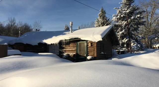 Бунгало Wild-bills-cabin