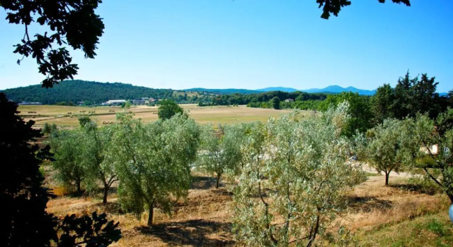 Номер Standard Agriturismo San Lino-Gilberto