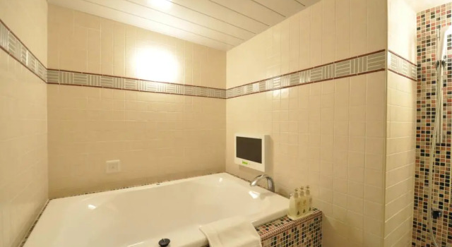 Двухместный номер Deluxe Nesthotel alt Kawasaki Station