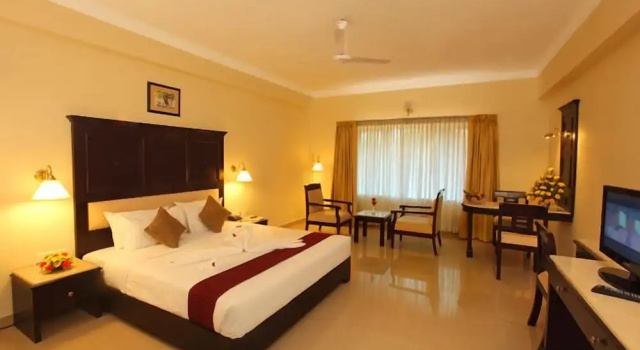 Двухместный номер Premium Hotel Airlink Castle
