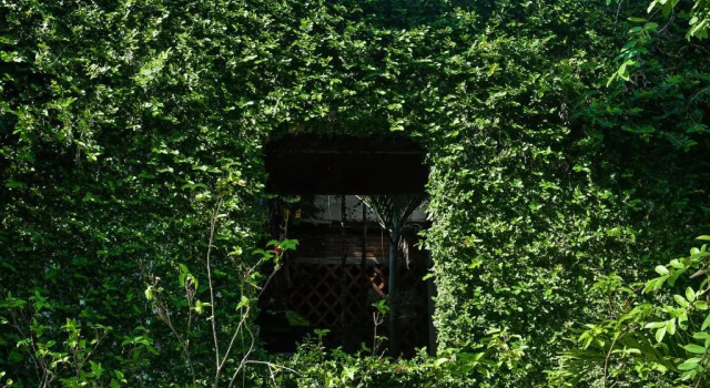 Кровать в общем номере Hosteria Chata Adults Only
