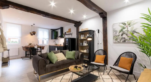 Апартаменты River Apartment in the heart of Bilbao EBI-01297