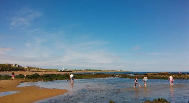 Апартаменты Roker Seafront Apartments