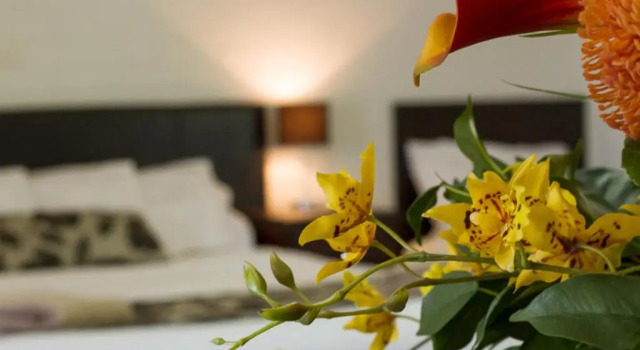 Четырёхместный номер Deluxe Frankston Motel
