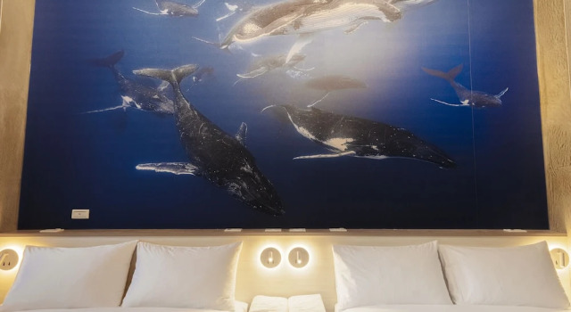 Comfort huone Deep blue 23 B&B