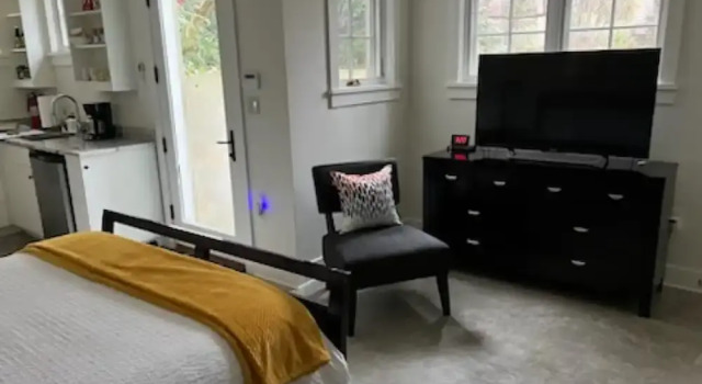 New Luxe Studio Cleveland Park Near Zoo