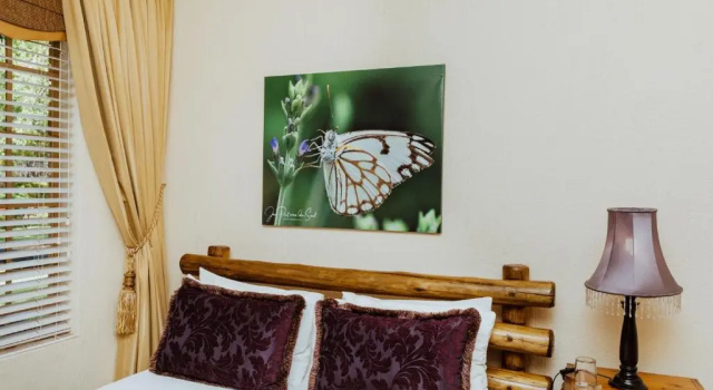 Standard Single quarto com vista para o jardim Boubou Bed and Breakfast