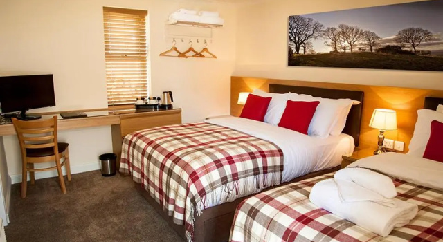 Номер Standard The Fir Tree Country Hotel