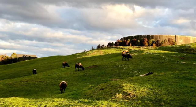 Коттедж с 4 комнатами Tranquil mountain peak