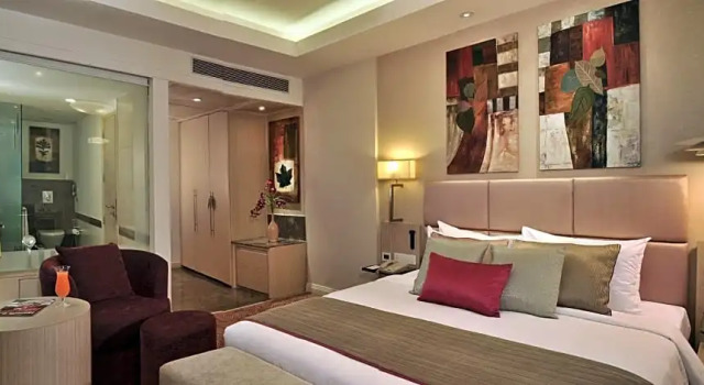 Люкс Deluxe Park Plaza Faridabad