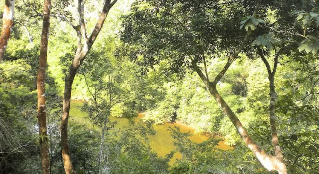 Номер Deluxe Table Rock Jungle Lodge