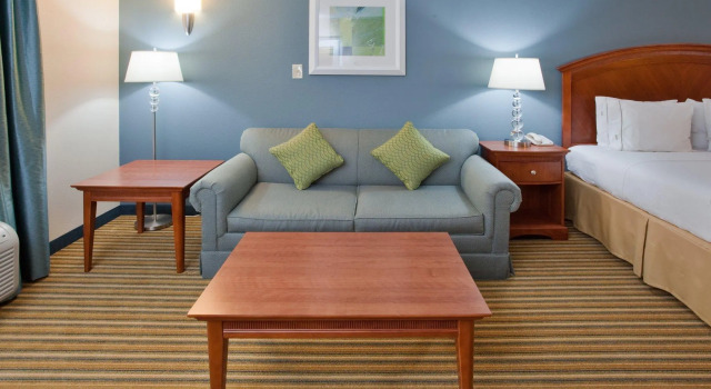 Двухместный номер Standard Holiday Inn Express Hotel & Suites Fredericksburg by IHG