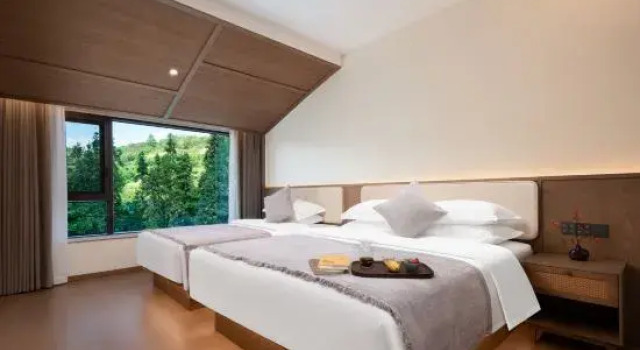 Семейный люкс Wudangshan Yun Yin Guan Yue Hotel