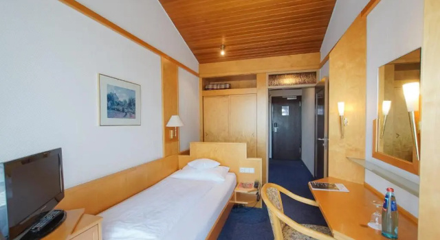 Одноместный номер Standard Hotel Stadt Breisach