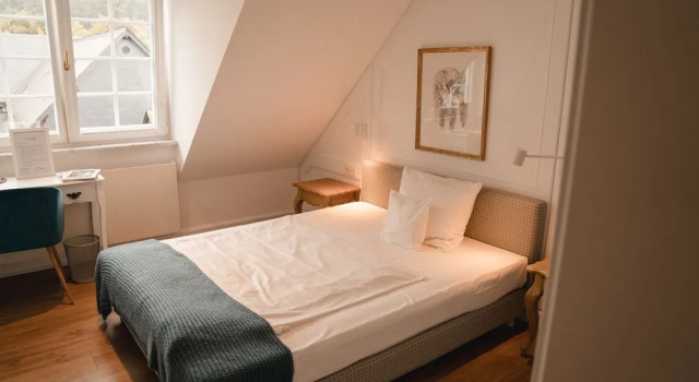 Одноместный номер Standard Hotel Hofgut Georgenthal